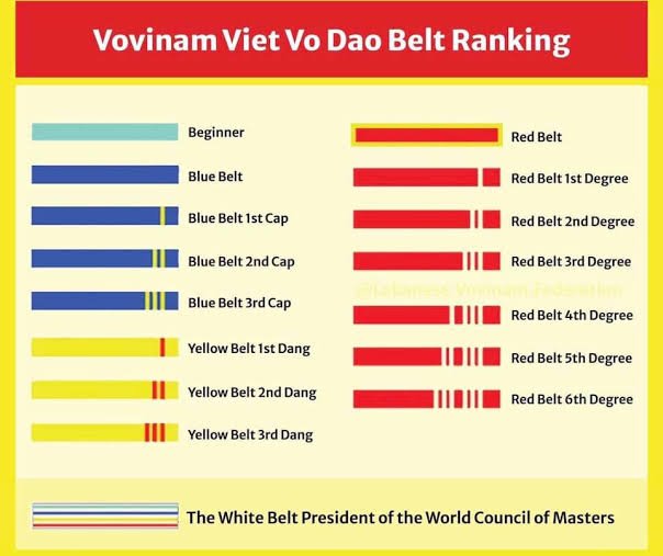 The Belt Is the Curriculum: What Vovinam's Blue–Yellow–Red Ladder Teaches Us About Motivation, Mastery, and Student Retention